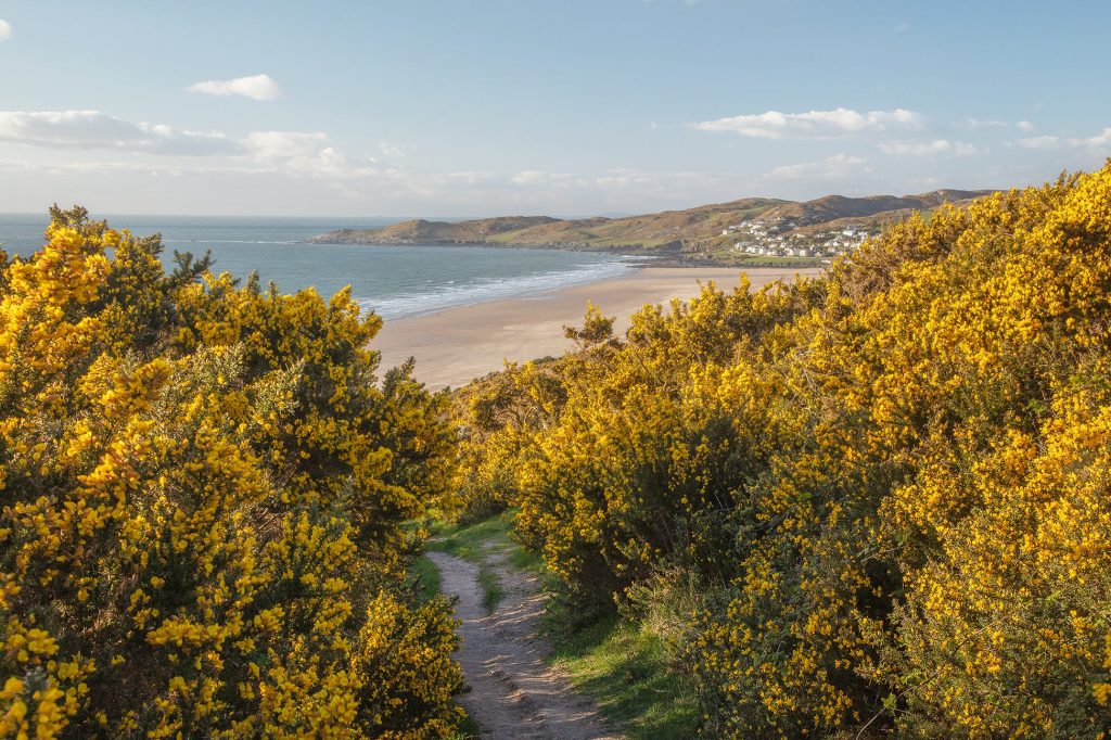 Easter holiday coastal walk in Woolacombe | near No.9 Putsborough