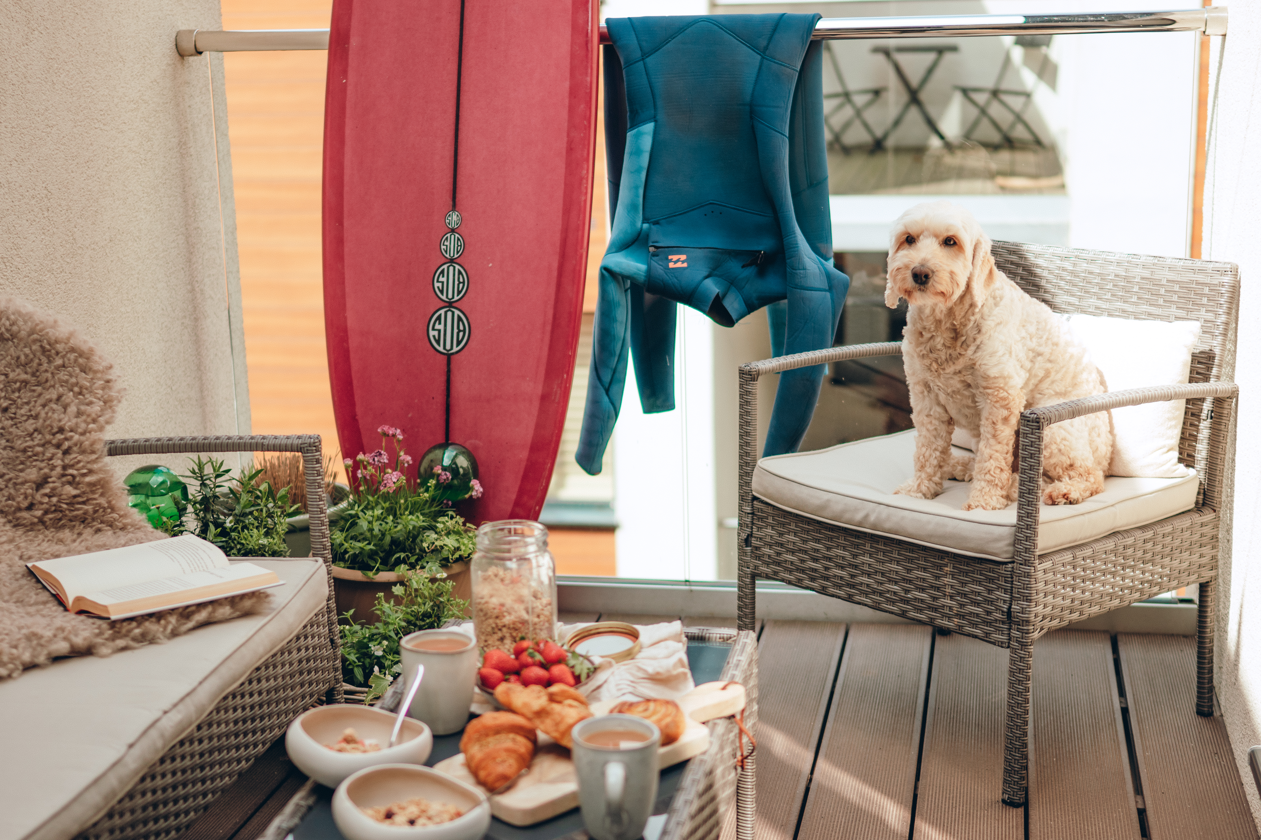 dog friendly holiday home in Woolacombe 